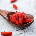 Muestra gratis 220-280 granos / 50 g de bayas de Goji con el mejor precio